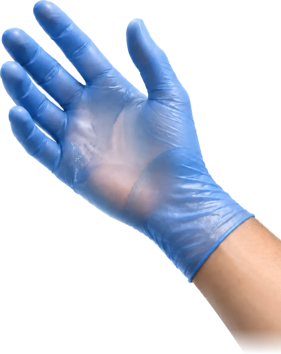 Hand in a single-use nitrile glove