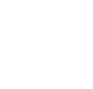 Borås INK